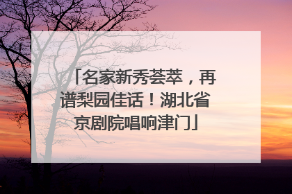 名家新秀荟萃，再谱梨园佳话！湖北省京剧院唱响津门
