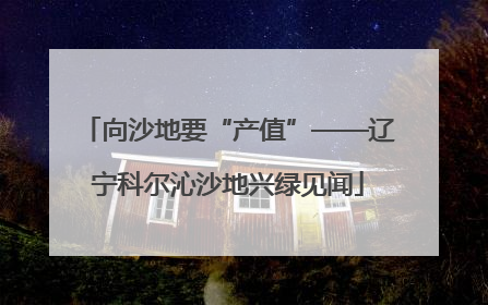 向沙地要“产值”——辽宁科尔沁沙地兴绿见闻