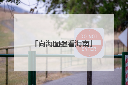 向海图强看海南