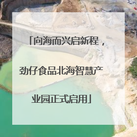 向海而兴启新程，劲仔食品北海智慧产业园正式启用