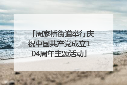 周家桥街道举行庆祝中国共产党成立104周年主题活动