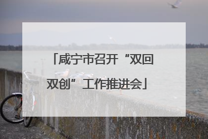 咸宁市召开“双回双创”工作推进会