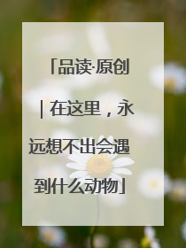 品读·原创｜在这里，永远想不出会遇到什么动物