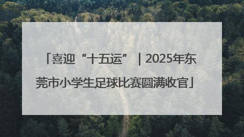 喜迎“十五运”｜2025年东莞市小学生足球比赛圆满收官