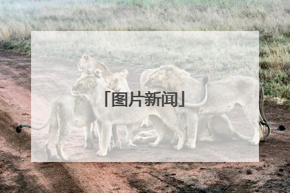 图片新闻