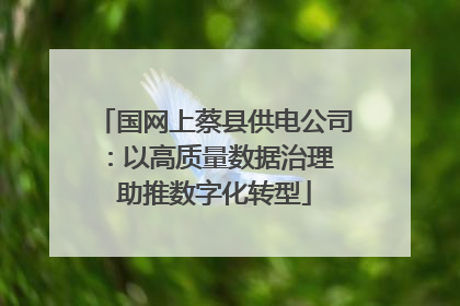 国网上蔡县供电公司：以高质量数据治理 助推数字化转型