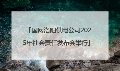 国网洛阳供电公司2025年社会责任发布会举行