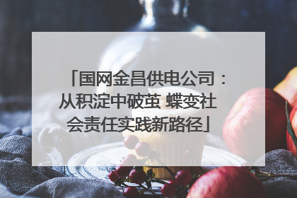 国网金昌供电公司：从积淀中破茧 蝶变社会责任实践新路径
