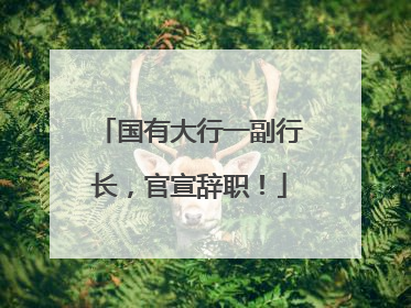 国有大行一副行长，官宣辞职！