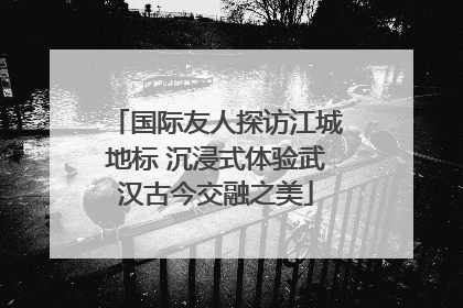 国际友人探访江城地标 沉浸式体验武汉古今交融之美