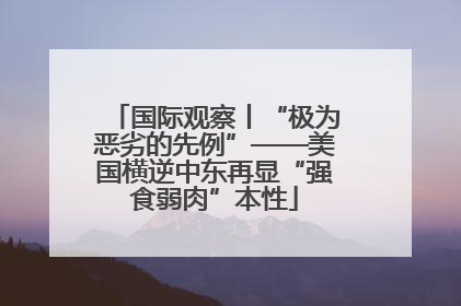 国际观察丨“极为恶劣的先例”——美国横逆中东再显“强食弱肉”本性