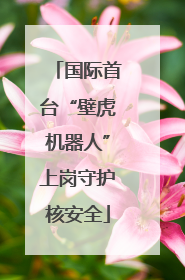 国际首台“壁虎机器人”上岗守护核安全