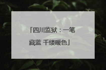 四川监狱：一笔藏蓝 千缕暖色