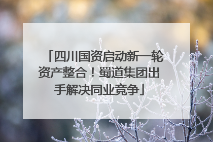 四川国资启动新一轮资产整合！蜀道集团出手解决同业竞争