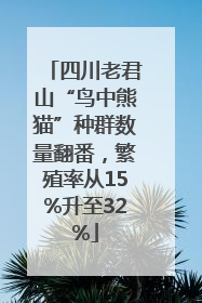 四川老君山“鸟中熊猫”种群数量翻番，繁殖率从15%升至32%