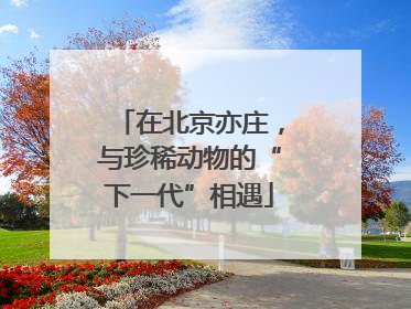 在北京亦庄，与珍稀动物的“下一代”相遇
