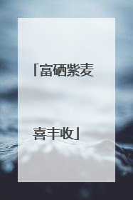 富硒紫麦喜丰收
