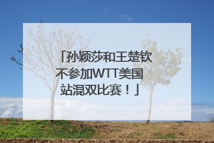 孙颖莎和王楚钦不参加WTT美国站混双比赛！