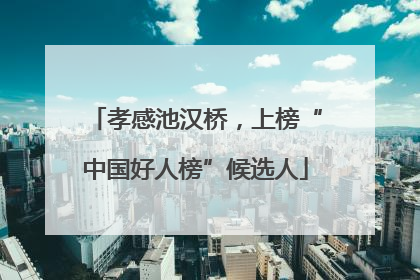 孝感池汉桥，上榜“中国好人榜”候选人