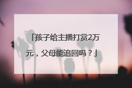 孩子给主播打赏2万元，父母能追回吗？