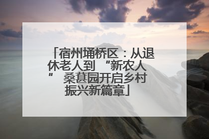 宿州埇桥区：从退休老人到 “新农人” 桑葚园开启乡村振兴新篇章