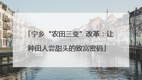 宁乡“农田三变”改革：让种田人尝甜头的致富密码