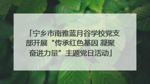 宁乡市南雅蓝月谷学校党支部开展“传承红色基因 凝聚奋进力量”主题党日活动