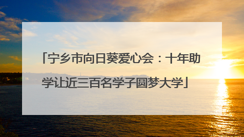 宁乡市向日葵爱心会：十年助学让近三百名学子圆梦大学