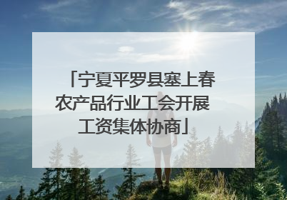 宁夏平罗县塞上春农产品行业工会开展工资集体协商