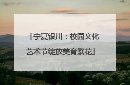 宁夏银川：校园文化艺术节绽放美育繁花