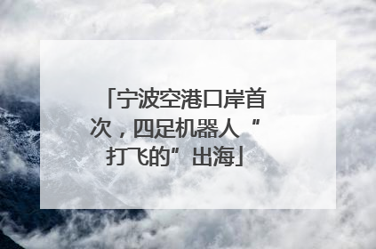 宁波空港口岸首次，四足机器人“打飞的”出海
