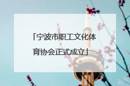 宁波市职工文化体育协会正式成立