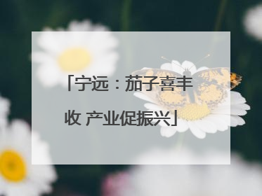 宁远：茄子喜丰收 产业促振兴