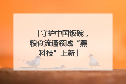 守护中国饭碗，粮食流通领域“黑科技”上新