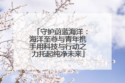 守护蔚蓝海洋：海洋至尊与青年携手用科技与行动之力托起纯净未来