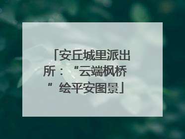 安丘城里派出所：“云端枫桥”绘平安图景