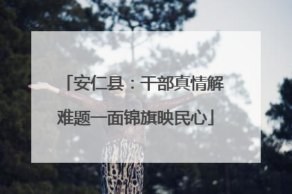 安仁县：干部真情解难题一面锦旗映民心