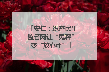 安仁：织密民生监督网让“鬼秤”变“放心秤”