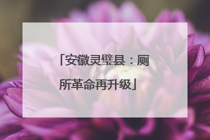 安徽灵璧县：厕所革命再升级