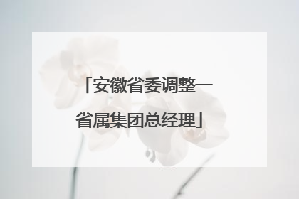 安徽省委调整一省属集团总经理