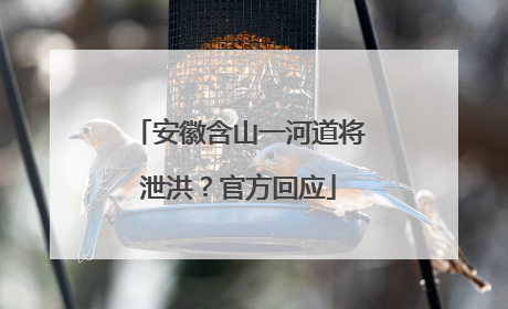 安徽含山一河道将泄洪？官方回应