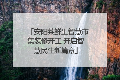 安阳菜鲜生智慧市集装修开工 开启智慧民生新篇章