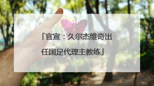 官宣：久尔杰维奇出任国足代理主教练