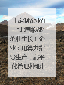 定制农业在“北国粮都”茁壮生长！企业：用算力指导生产，扁平化管理种地
