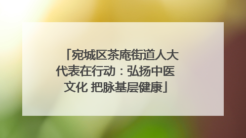 宛城区茶庵街道人大代表在行动：弘扬中医文化 把脉基层健康