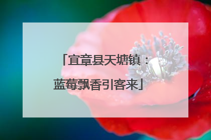 宜章县天塘镇：蓝莓飘香引客来