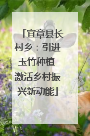 宜章县长村乡：引进玉竹种植 激活乡村振兴新动能