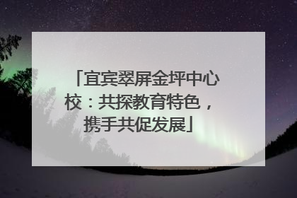 宜宾翠屏金坪中心校：共探教育特色，携手共促发展