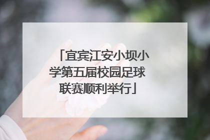 宜宾江安小坝小学第五届校园足球联赛顺利举行
