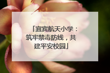 宜宾航天小学：筑牢禁毒防线，共建平安校园